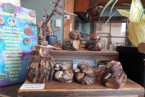 SAMSUNG CAMERA PICTURES