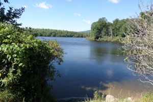 SAMSUNG CAMERA PICTURES