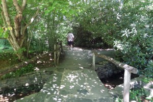 SAMSUNG CAMERA PICTURES