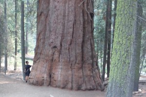 SAMSUNG CAMERA PICTURES