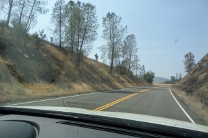 SAMSUNG CAMERA PICTURES