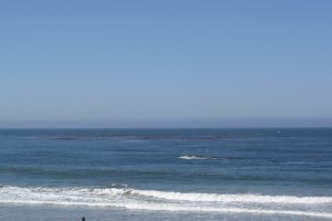 SAMSUNG CAMERA PICTURES